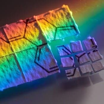 the trippy lab 10