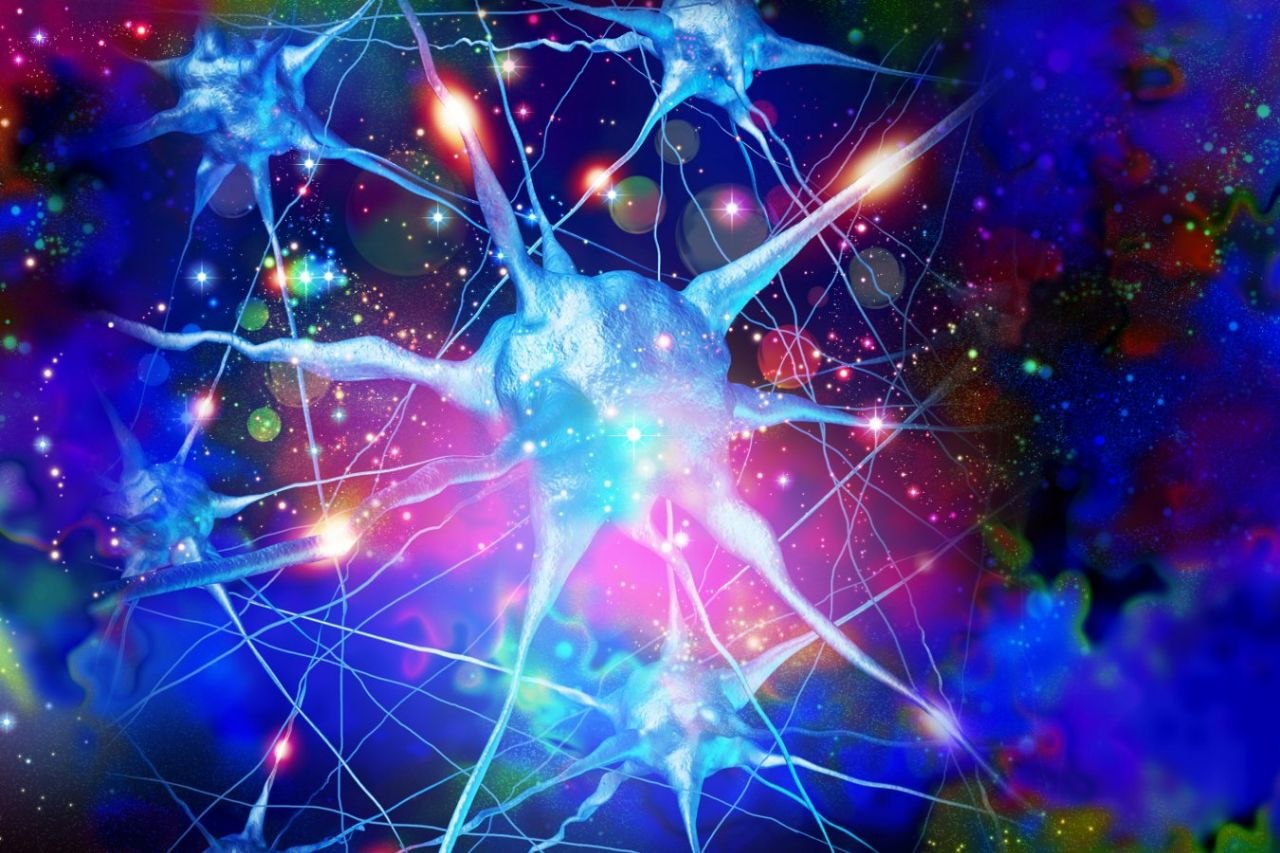 the trippy lab 5