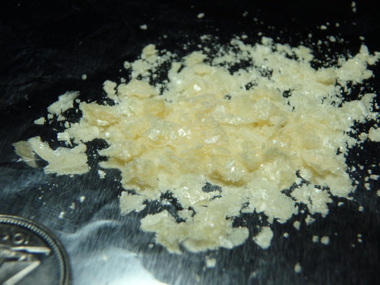 the trippy lab